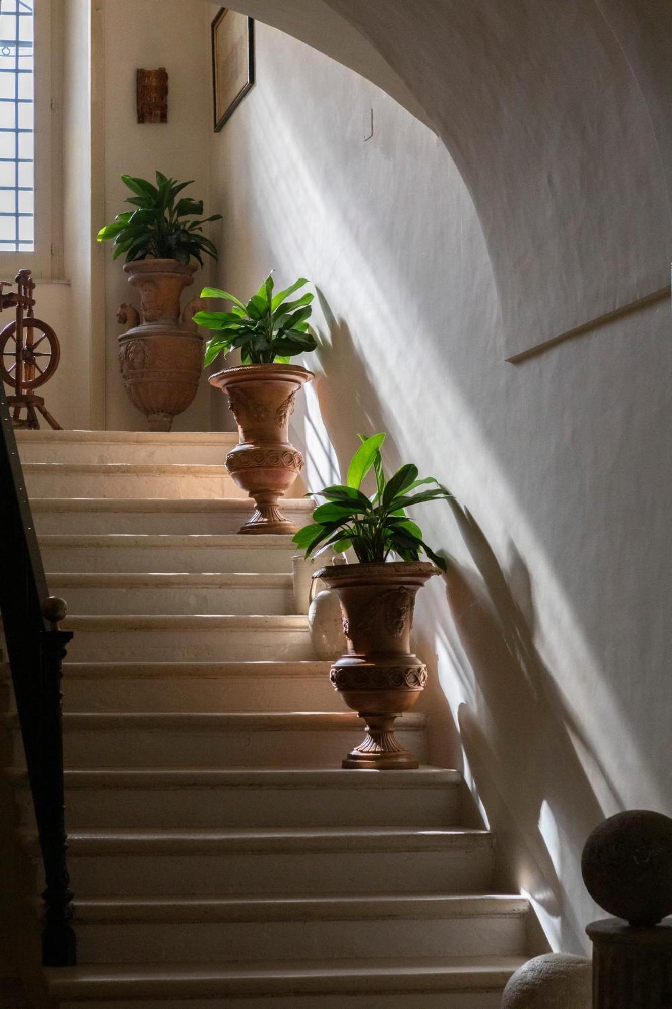 Villa Fenicia Ruvo di Puglia Exterior foto