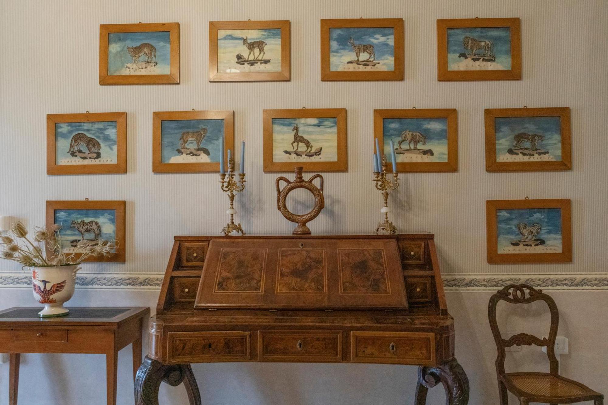 Villa Fenicia Ruvo di Puglia Exterior foto